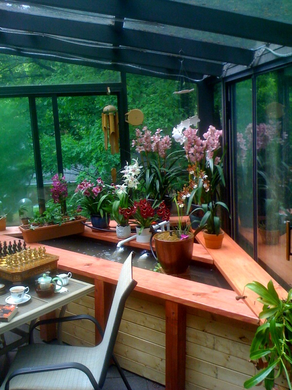 “It’s a jungle in there!” or “Orchids Adorning Aquaponics ...